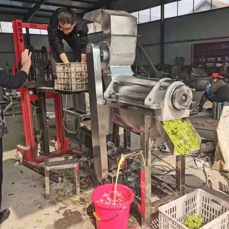  不锈钢螺旋果蔬生姜榨汁机 可定制立式果蔬萝卜打汁机 多种型号 