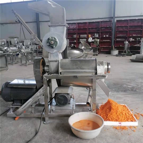   定制紫薯打泥机 水果螺旋榨汁机 小型果蔬破碎打汁机厂家