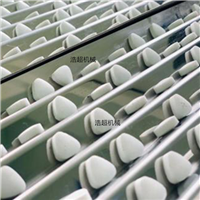 全自动数粒灌装机，糖片固体灌装机，多规格灌装机械，定制设备