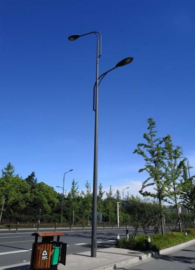 中卫市电路灯厂家定制各种造型市电路灯