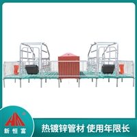 恒富机械母猪产床 产床猪用河南养殖设备