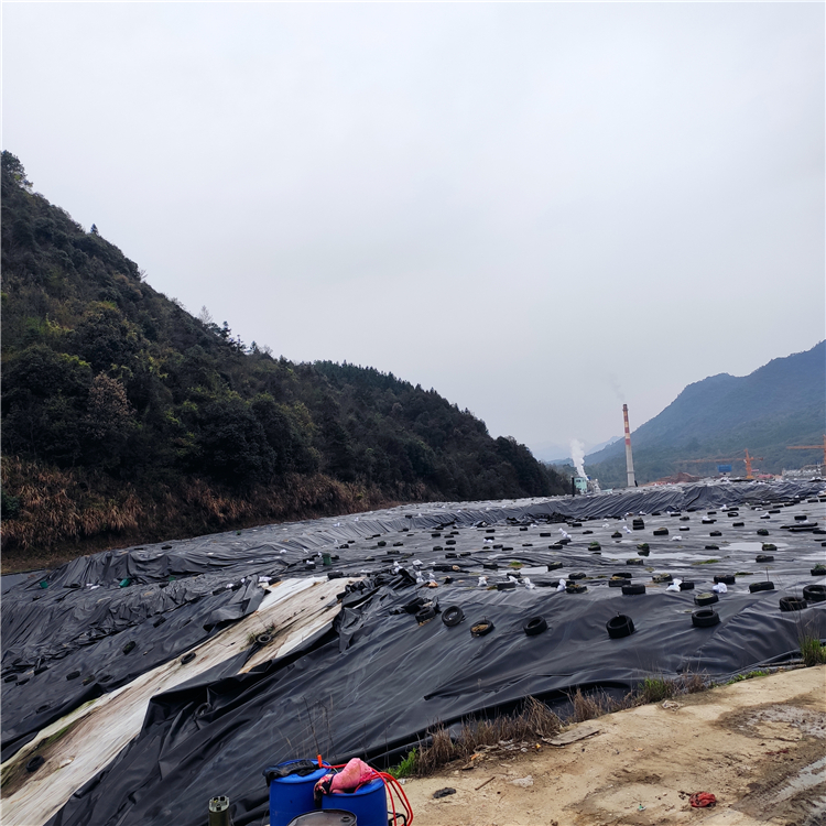 垃圾填埋場封場覆蓋土工膜 生產廠家