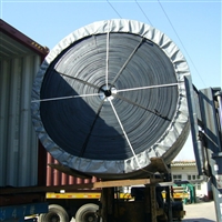 尼龙输送带 河北pe尼龙输送带 环形尼龙输送带