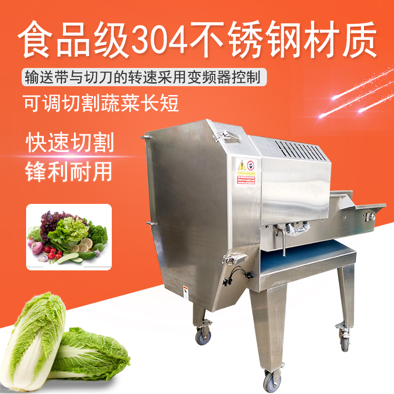 椰子肉切片機(jī)TJ-168 切臘腸片 切青香蕉片機(jī)視頻