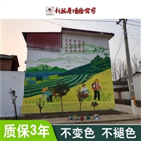 乡村振兴工程墙绘 工程墙绘厂家 南京文化墙彩绘公司 新视角