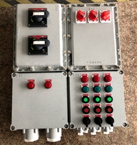 防爆配电控制箱 IIB 破碎机 不锈钢 一控一盲板阀防爆控制箱