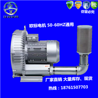 生物发酵设备高压鼓风机 25千瓦漩涡真空泵 25KW高压大风量漩涡式气泵