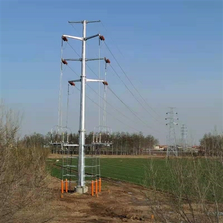 定制110kv直线转角杆承接钢杆基础打桩地脚螺栓