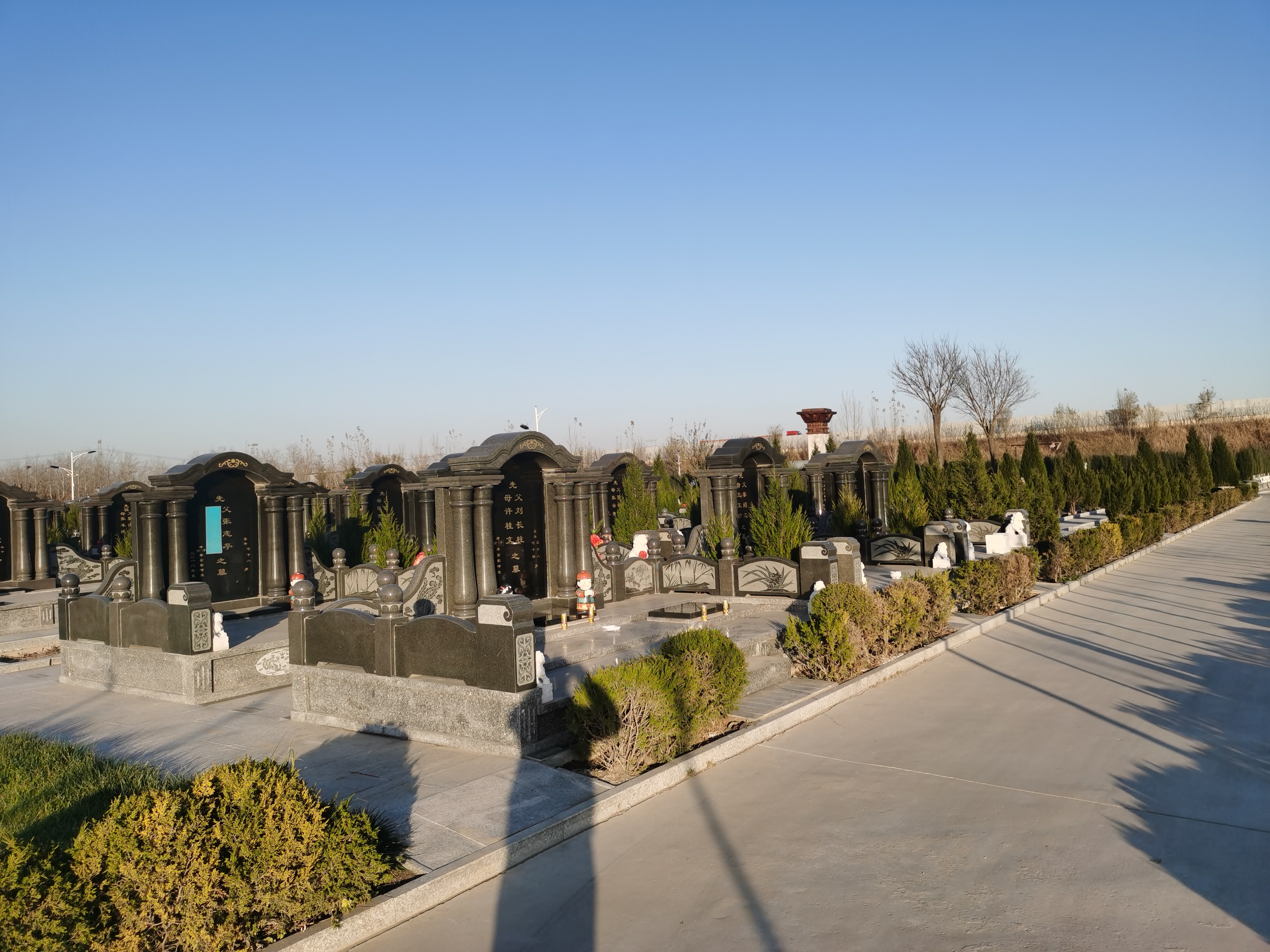 天津王庆坨公墓景观图片