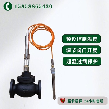 自力式温度调节阀 ZZWT-16C DN20 生产厂家 调节家