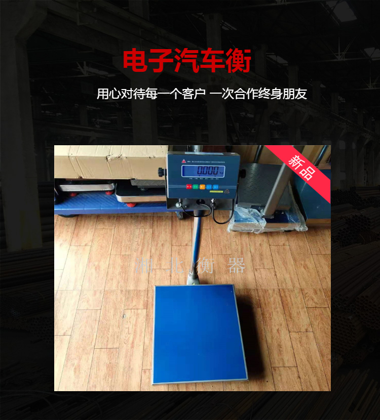 怀化工业电子称 100公斤本安防爆电子称