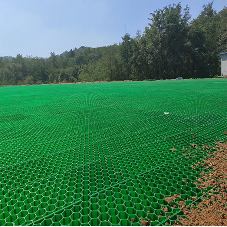 双鸭山园林绿化植草格本地厂家