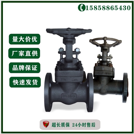 温州阀门 锻钢硬密封闸阀Z41W-16C DN32 高温锻钢阀门 手动法兰闸