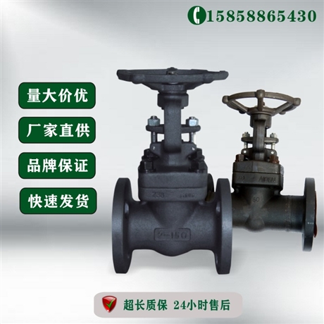 温州瓯北 锻钢闸阀 Z41H-16C DN20 硬密封闸阀