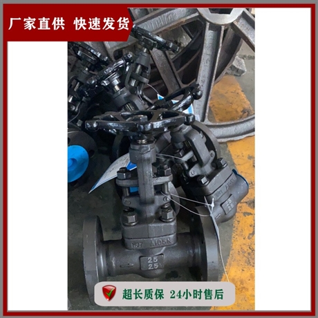 温州阀门 锻钢闸阀 Z41H-16C DN32 硬密封闸阀