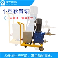 水泥粉料输送泵 卫生级软管蠕动泵泵安装 蠕动软管泵价格