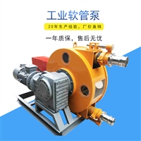 挤压软管泵 软管泵开发高压软管泵 ihp型工业软管泵