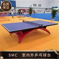 大彩虹乒乓球台 小彩虹乒乓球台 室内乒乓球台 实体厂家直供