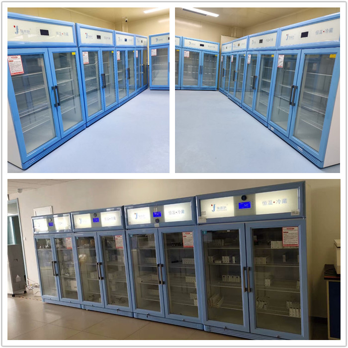 FYL-YS-828L恒温箱尺寸1265X680X1830mm