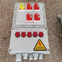 防爆专用电源箱 ExdIIBT4 破碎机 防爆铁箱 污水泵防爆启停控制箱