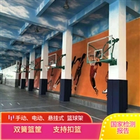 壁挂式篮球架 固定篮球架 悬挂式手动篮球架 永泰体育 厂家供应 欢迎选购