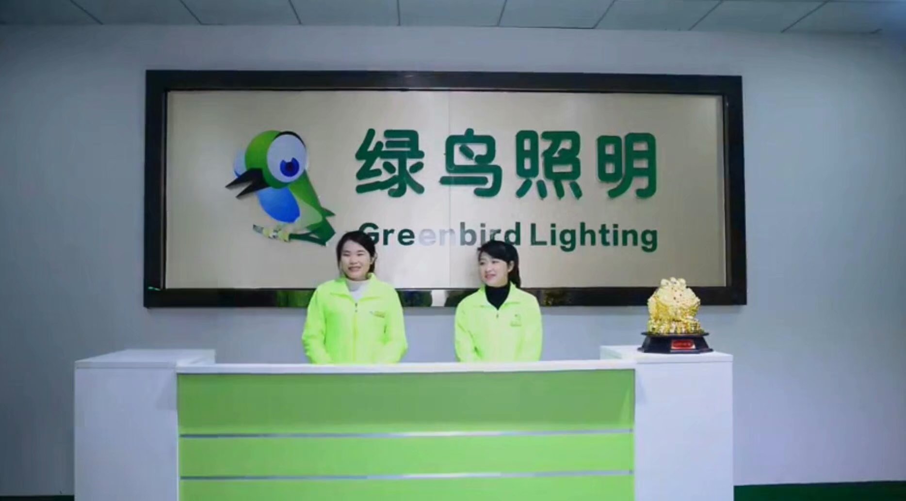 雷达感应吸顶灯 充电生鲜灯价格 48v低压声光控吸顶灯厂家 绿鸟照明