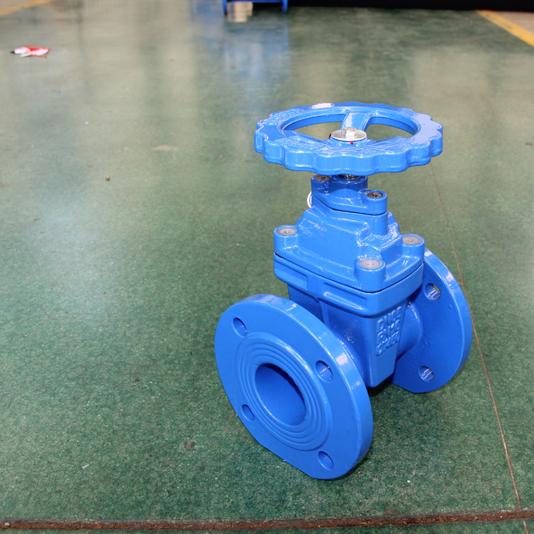 江皓阀门暗杆软密封闸阀批发国标软密封闸阀dn65法兰软密封闸阀