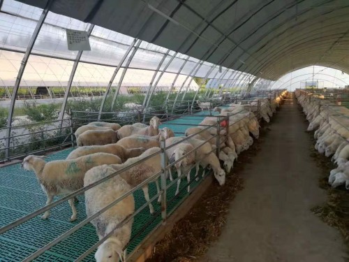 现代化羊舍粪板质量好的羊床粪板羊漏粪板