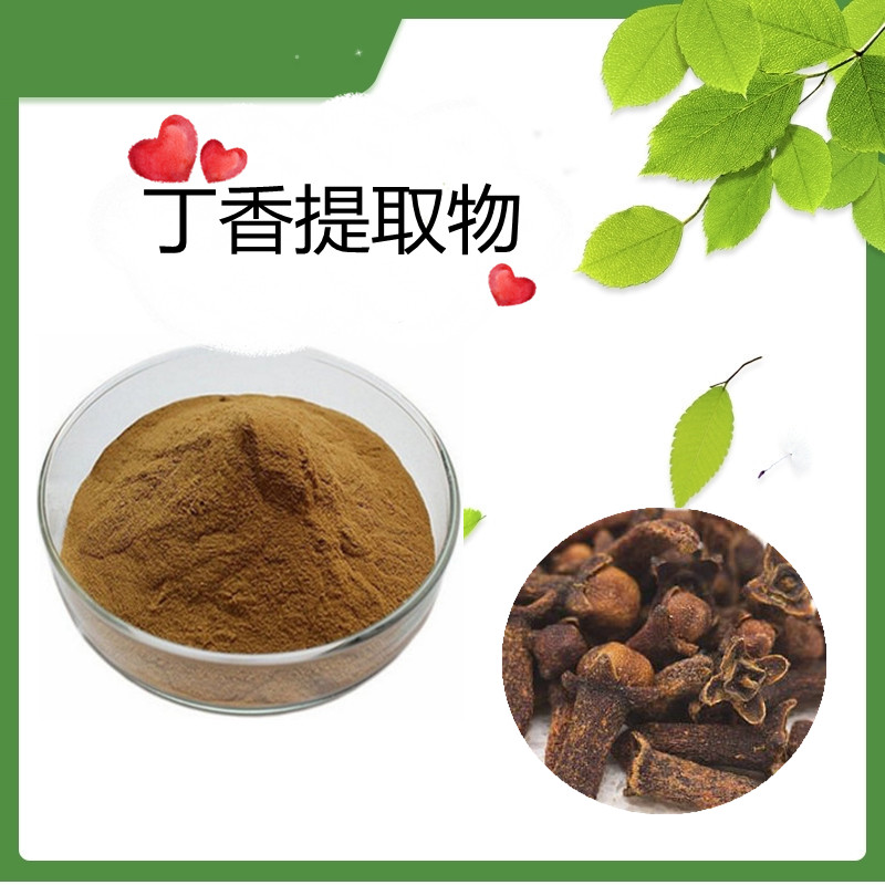 丁香提取物 10：1 丁香粉  按比例提取 水溶   可定制十年工厂