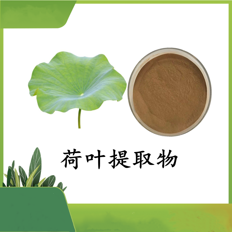 荷叶提取物  荷叶碱  UV 2% 棕黄色粉末 支持定制 100目粉末