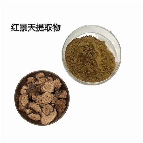 红景天提取物   红景天甙3%    SC备案 比例提取   量大优惠