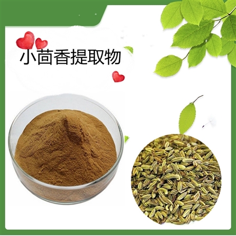 小茴香提取物 水溶  10:1 20:1 定制 生产浓缩粉80目100目斯诺特