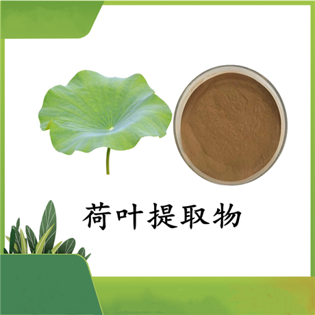 荷叶提取物  荷叶碱  UV 2% 棕黄色粉末 支持定制 100目粉末