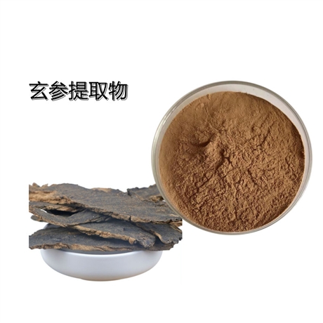 玄参提取物 玄参多糖生产 植物萃取  高倍浓缩 10:1 可定制水溶