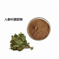 人参叶提取物  10:1  十年工厂  80目100目 水溶好 SC厂
