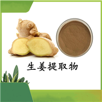 生姜提取物姜辣素5%、10%、15% 水溶粉末 80目 100目