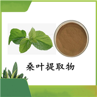 桑叶提取物  DNJ 药食同源  SC 资质齐全 全水溶斯诺特 可定制