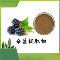 桑葚提取物 斯诺特 可定制