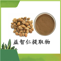 益智仁提取物    益智仁粉 水溶性 100目粉末状  斯诺特 可定制