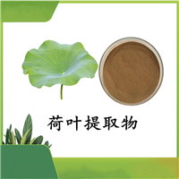 荷叶提取物  荷叶碱  UV 2% 棕黄色粉末 支持定制 100目粉末