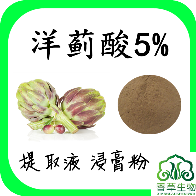 洋蓟酸5洋蓟提取物洋蓟素