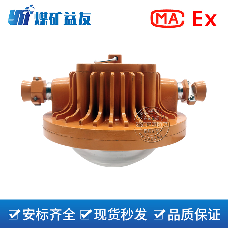 DGS40/127L(A)矿用隔爆型LED巷道灯