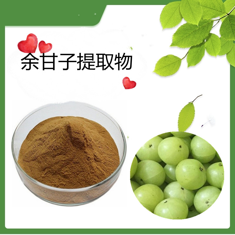 余甘子提取物 水溶性 萃取粉  SC备案产品 浸膏粉 80目 100粉末