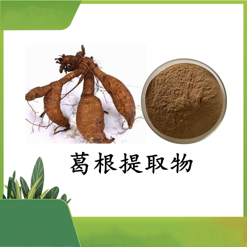 葛根提取物  葛根浓缩粉  水溶好 压片造粒都可 斯诺特可定制
