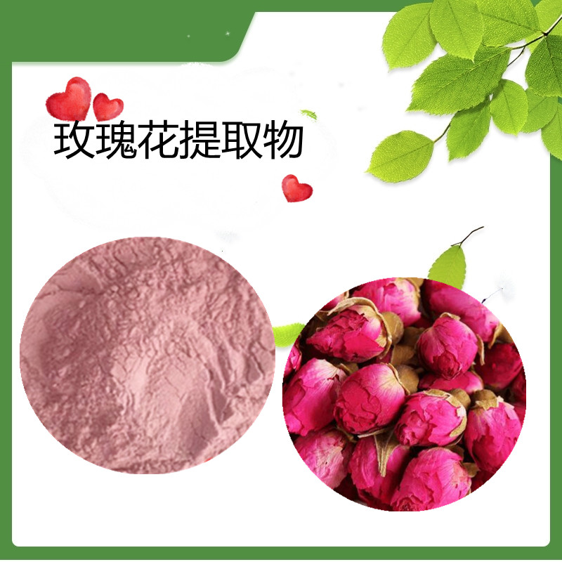 斯诺特生物 重瓣红玫瑰提取物 玫瑰花提取物  资质齐全