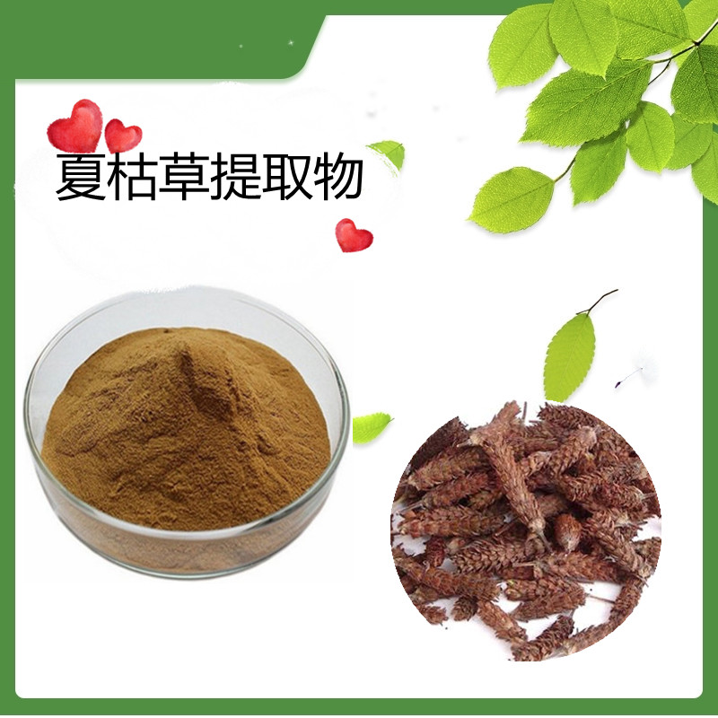 夏枯草提取物10：1 夏枯草粉 水溶  喷雾干燥粉  斯诺特生物