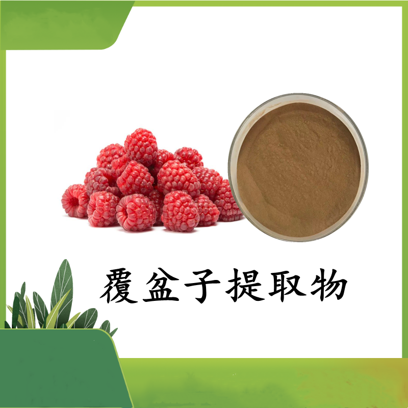 覆盆子提取物10：1 覆盆子粉   树莓粉  覆盆子酮  斯诺特 可定制