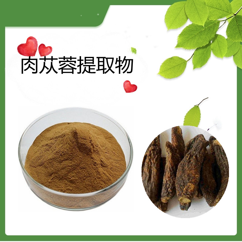 肉苁蓉提取物 10：1 肉苁蓉粉  水溶   可定制  斯诺特生物