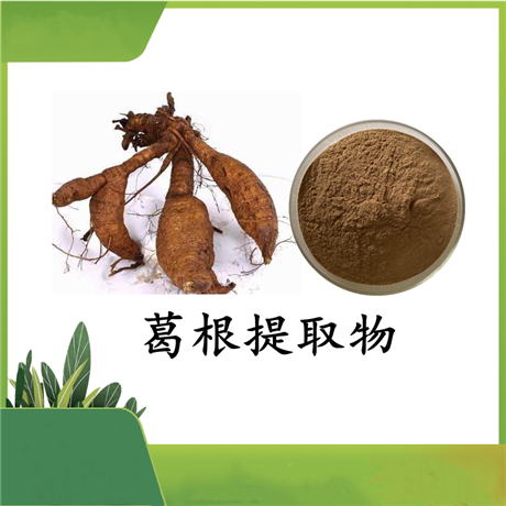 葛根提取物  葛根浓缩粉  水溶好 压片造粒都可 斯诺特可定制