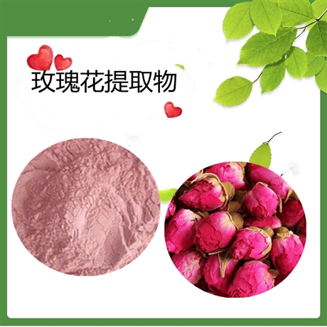 斯诺特生物 重瓣红玫瑰提取物 玫瑰花提取物  资质齐全